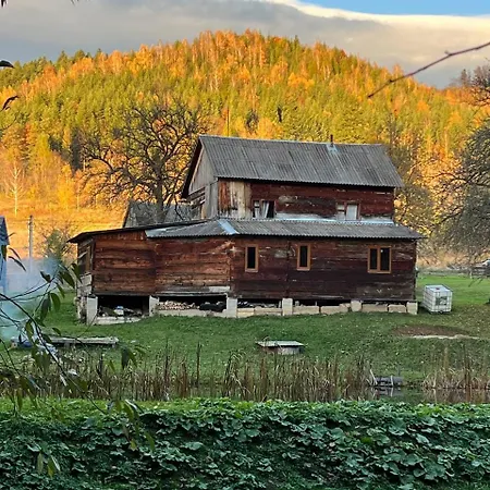 те село 度假居 Velyka Volosyanka