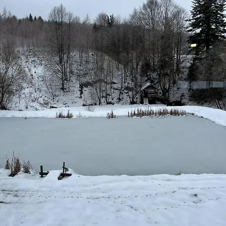 те село Velyka Volosyanka