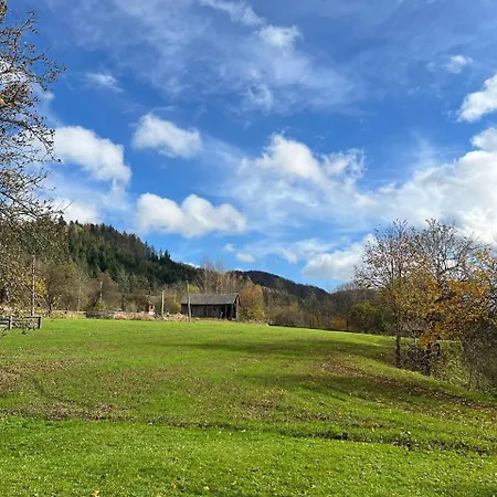 те село Dom wakacyjny Velyka Volosyanka