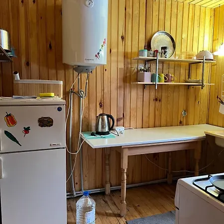 те село Dom wakacyjny Velyka Volosyanka