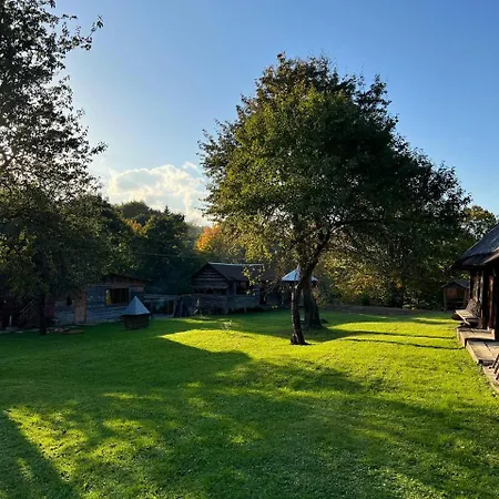 те село Dom wakacyjny Velyka Volosyanka